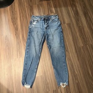American Eagle strigid mom jeans